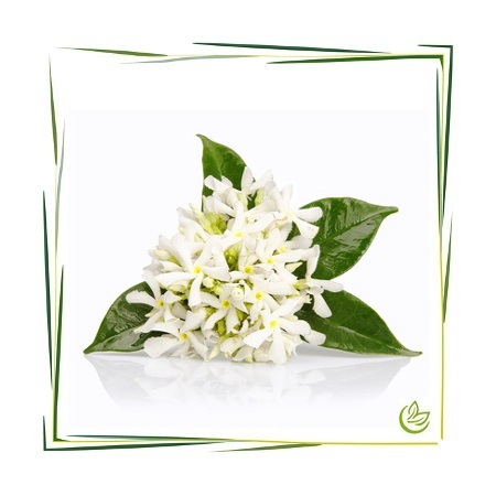 Hydrolat Neroli BIO